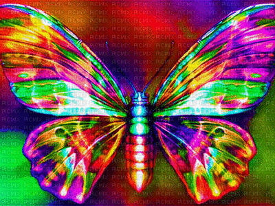 butterfly papillon effect fond background hintergrund image colorful  colored gif anime animated animation, butterfly , papillon , effect , fond  , background , hintergrund , image , colorful , colored , gif , anime ,  animated , animation - Free animated ...