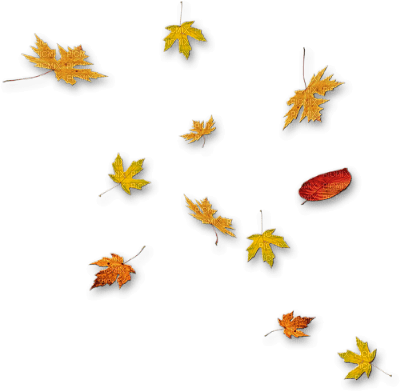 autumn - gratis png