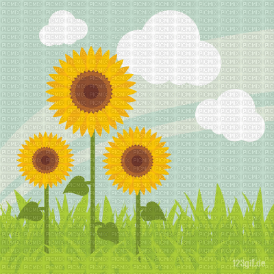 Background Sunflowers - Zdarma animovaný GIF