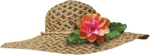Sombrero de playa - ingyenes png
