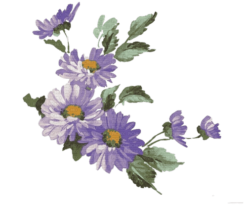 Цветы, акварель - ücretsiz png