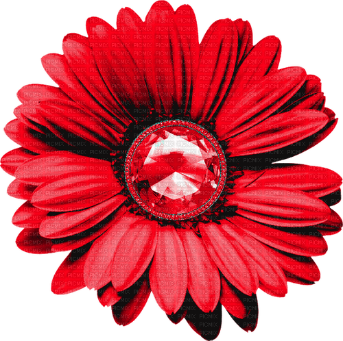 Flower.Red - bezmaksas png