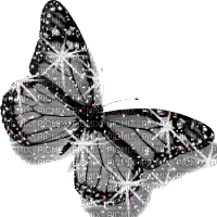 papillon - Gratis animerad GIF
