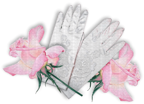 Wedding Bride Gloves Roses - PNG gratuit