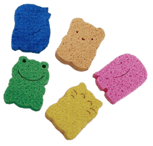 sponges - nemokama png
