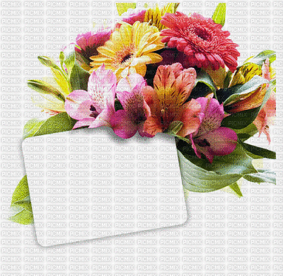 chantalmi bouquet - GIF animado gratis
