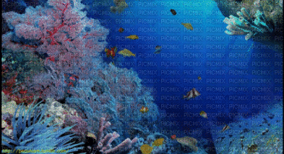 ♥Fishes♥ - 無料のアニメーション GIF