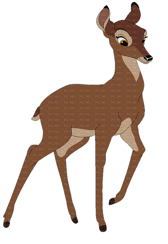 bambi - zadarmo png