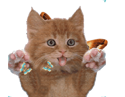 Nina cat - GIF animasi gratis