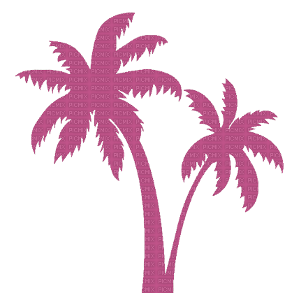 Palmier rose - PNG gratuit
