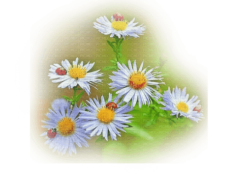 blomma-grön---flowers--green - gratis png