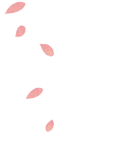 petalos flores gif dubravka4 - Bezmaksas animēts GIF