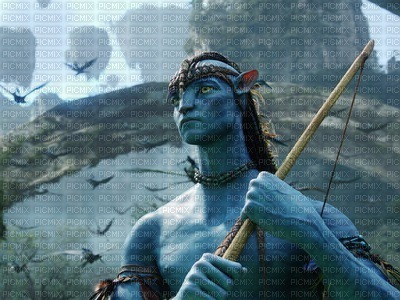 Avatar - zdarma png