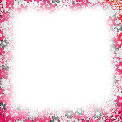 soave frame flowers texture black white pink - PNG gratuit