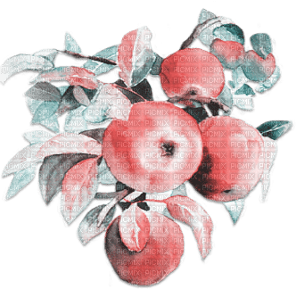 soave deco branch fruit apple pink teal - PNG gratuit