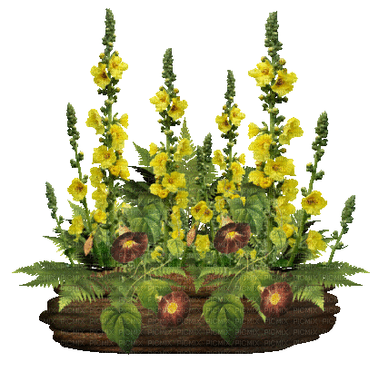 Arreglo floral - Gratis geanimeerde GIF