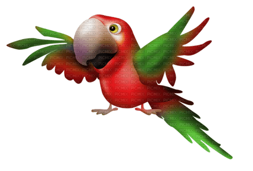 Un pájaro  lapa - ingyenes png