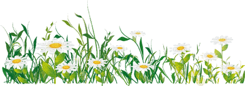 natur gras milla1959 - Besplatni animirani GIF