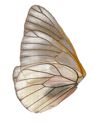iridescent glitter bug wing - PNG gratuit