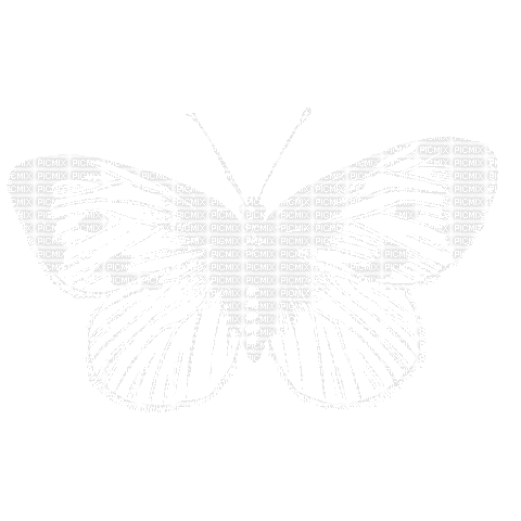 Butterfly White Gif - Bogusia - Free animated GIF