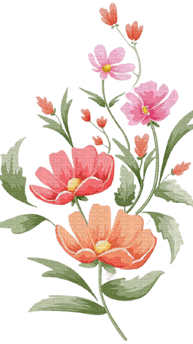 flowers deco - 免费PNG