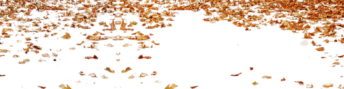 Autumn leaves - δωρεάν png