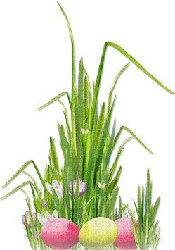 soave deco easter eggs grass  flowers - PNG gratuit