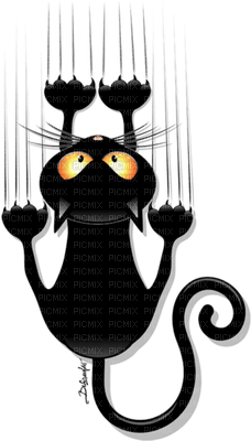 Cat Holding On - zadarmo png