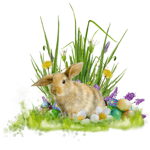 Ostern, Hase - zadarmo png