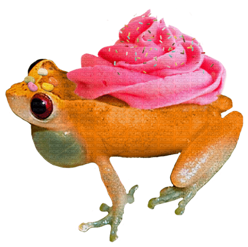 pink frosting cupcake frog - bezmaksas png