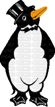 pinguin - Gratis animeret GIF
