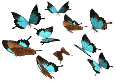 Kaz_Creations Deco Butterflies - 免费PNG