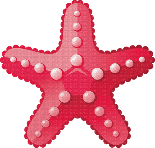 starfish Bb2 - png ฟรี
