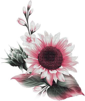soave deco flowers sunflowers branch pink green - zdarma png