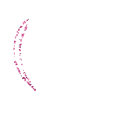 coe rose pink - GIF animasi gratis