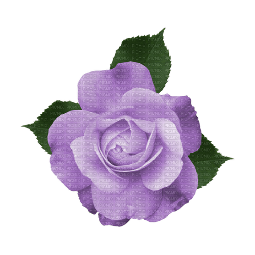 kikkapink deco scrap purple rose - png ฟรี
