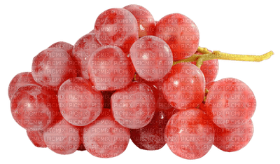 Tournesol94 fruit - δωρεάν png