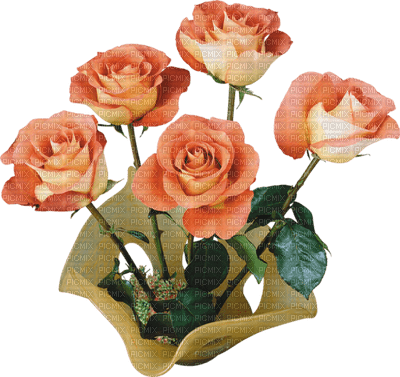 Kaz_Creations Deco Flowers Vase Plant Colours - ilmainen png