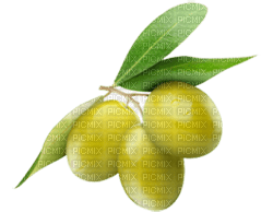 olives bp - kostenlos png