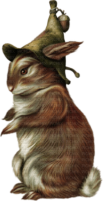 Kaz_Creations Animals Rabbit Hare - bezmaksas png