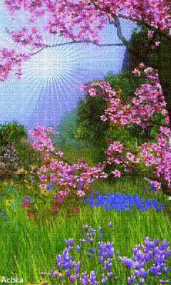 landscape spring _summer background _ water paysage printemps  été fond _gif_tube - GIF animé gratuit