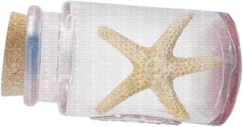 Bottle.Starfish.Brown.White - 免费PNG