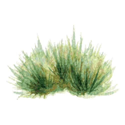 watercolor grass Bb2 - δωρεάν png