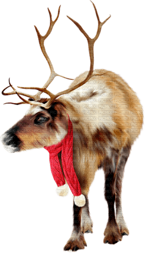 Reindeer Christmas Winter - Bogusia - Free PNG