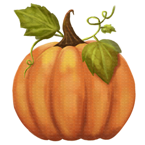 pumpkin - 免费PNG