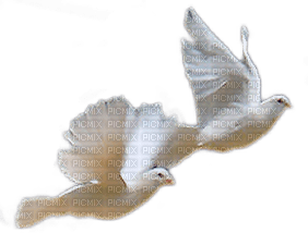 paloma dave paz peace Marta - ücretsiz png