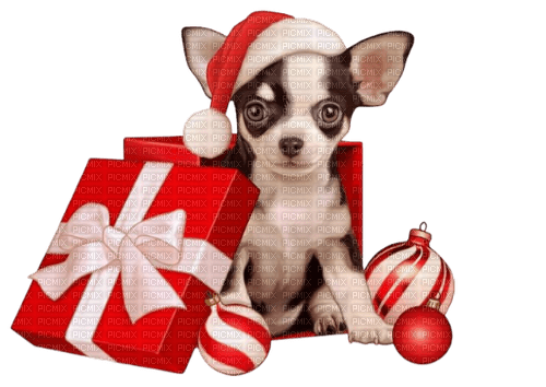 Kerst hond - gratis png