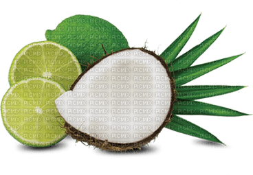 Kaz_Creations Fruit Lime Coconut - PNG gratuit