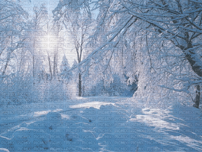 paysage hivers - GIF animé gratuit