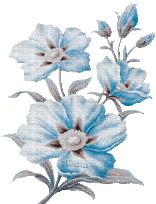 Y.A.M._Summer flowers - Darmowy animowany GIF